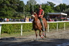 Immagine <b>REG_9323</b>